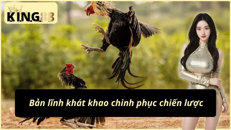 Đá Gà Cựa Dao KING88: Sân Đấu Của Đam Mê Và Chiến Thuật 3 Khát khao chinh phục của cao thủ nhà đá gà cựa dao KING88